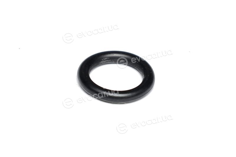 Elring 789.710