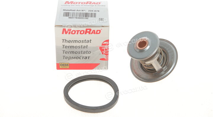Motorad 234-87K