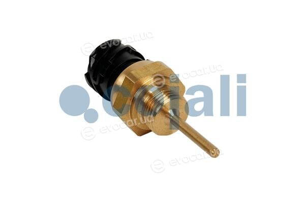 Cojali 2260982