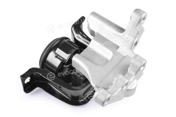 Tedgum TED37791