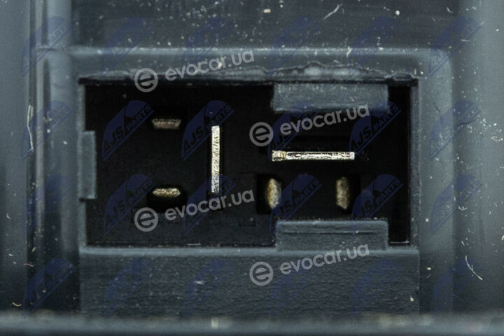 NTY EWN-NS-008