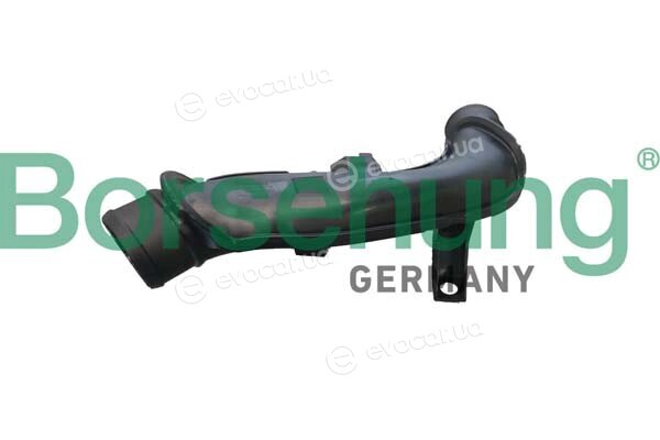 Borsehung B12349