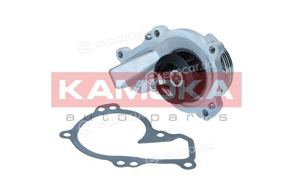 Kamoka T0295