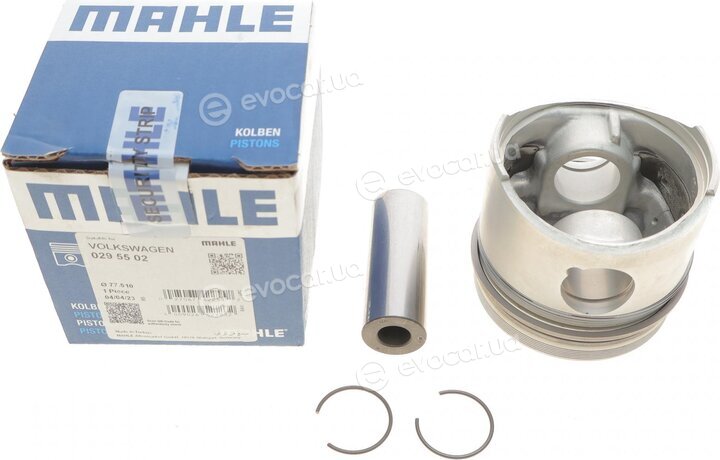 Mahle 029 55 02