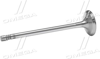Gunes 4572