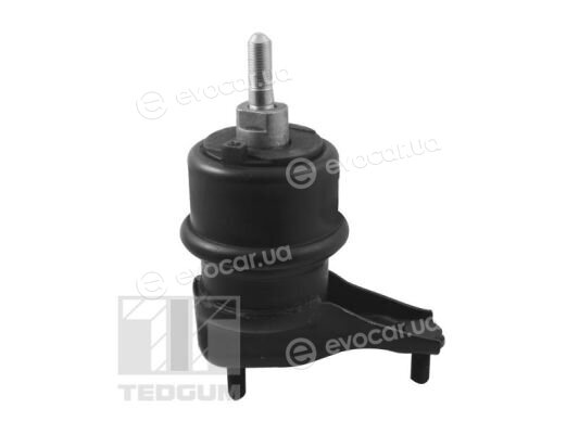 Tedgum TED94424