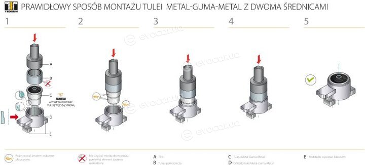 Tedgum 00398334