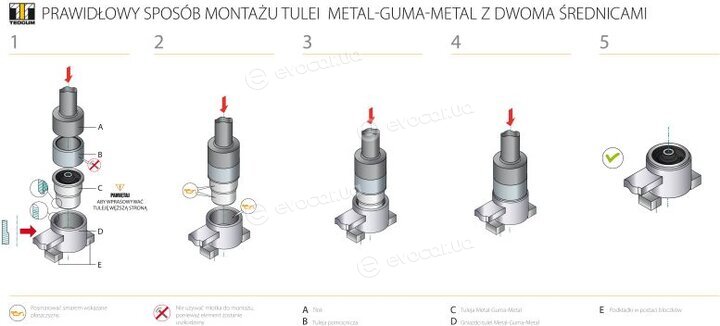 Tedgum 00503549