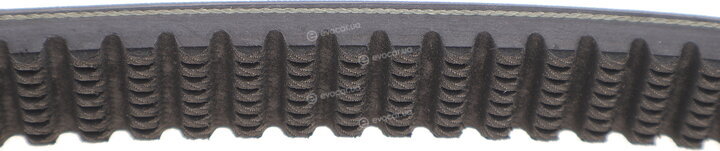 Dayco HP2004