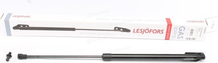 Lesjofors 8162045