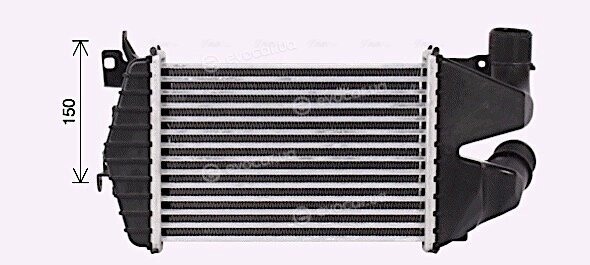 AVA OL4691