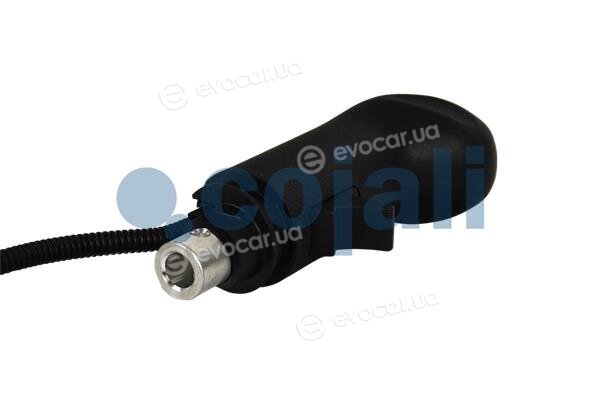 Cojali 2880267