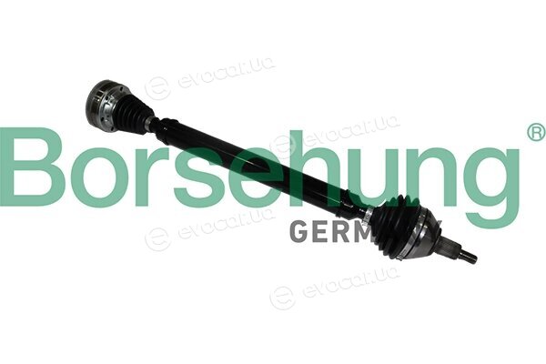 Borsehung B18334