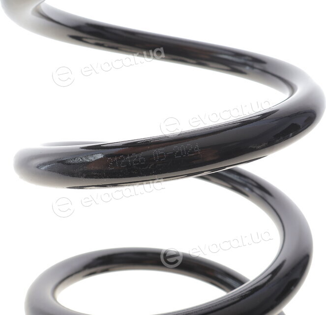 Solgy 212126