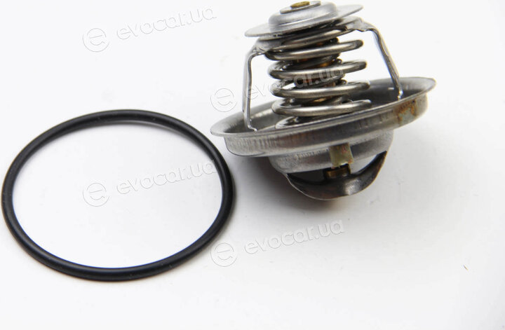 Vernet / Calorstat TH6533.92J