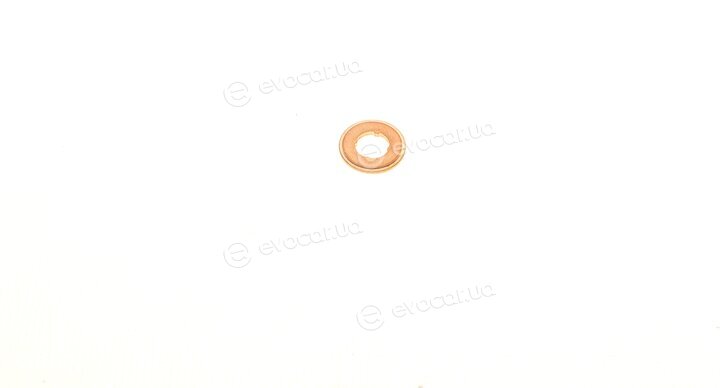 Bosch F 00R J01 453