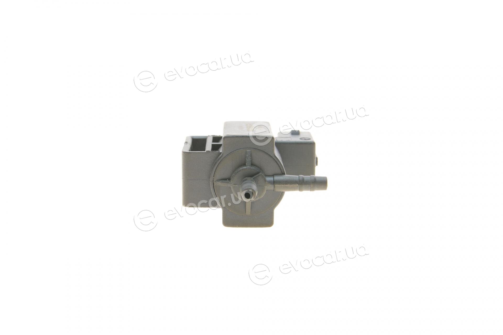 Bogap B6313104