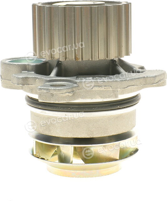 Hepu P549