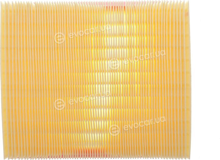 Solgy 103165