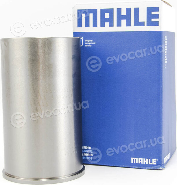 Mahle 002 WV 04 00