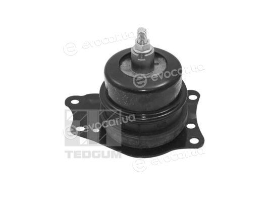 Tedgum TED40385