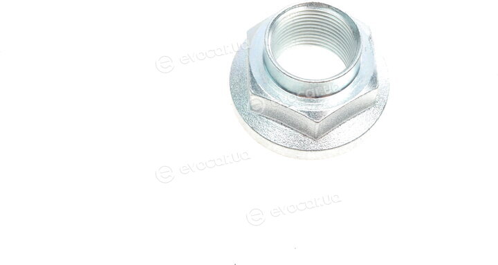 Blue Print ADG08362