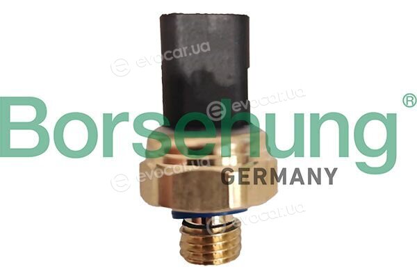 Borsehung B13506
