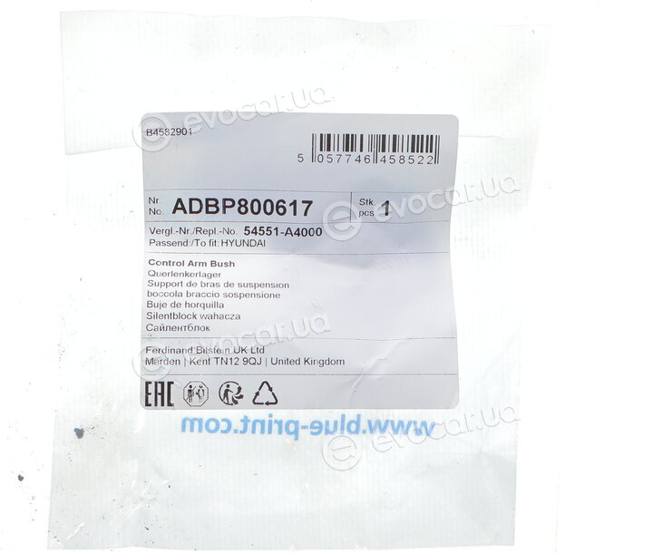 Blue Print ADBP800617