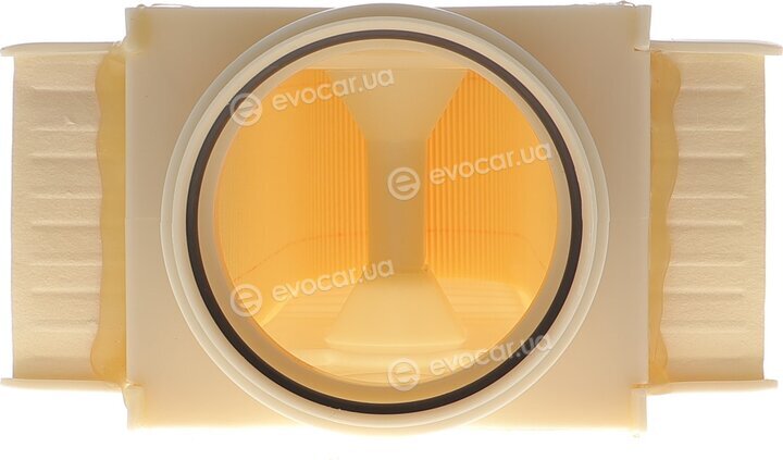 Solgy 103198