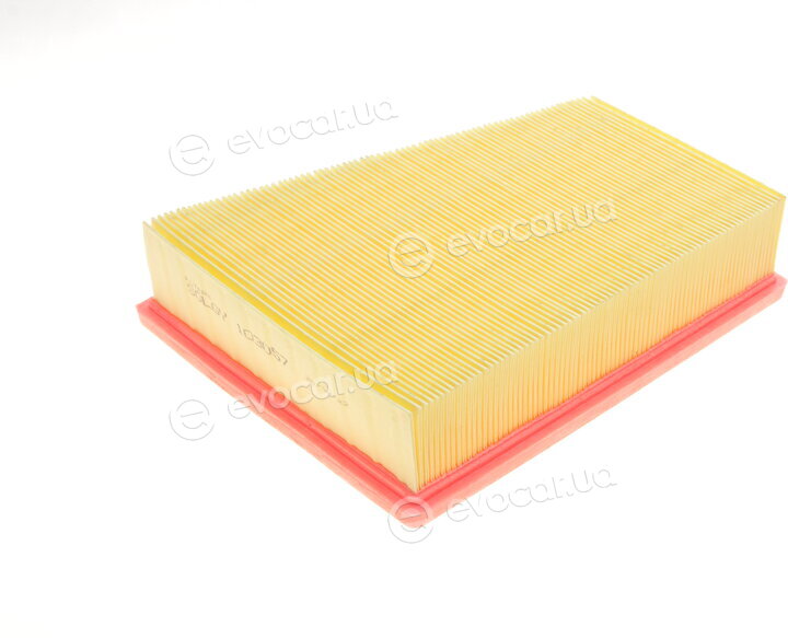 Solgy 103057