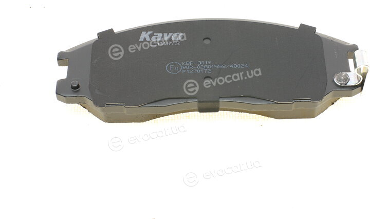 Kavo KBP-3019