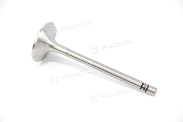Mahle 029 VA 31097 100