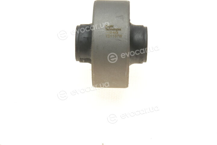 Delphi TD1137W