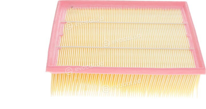Solgy 103043