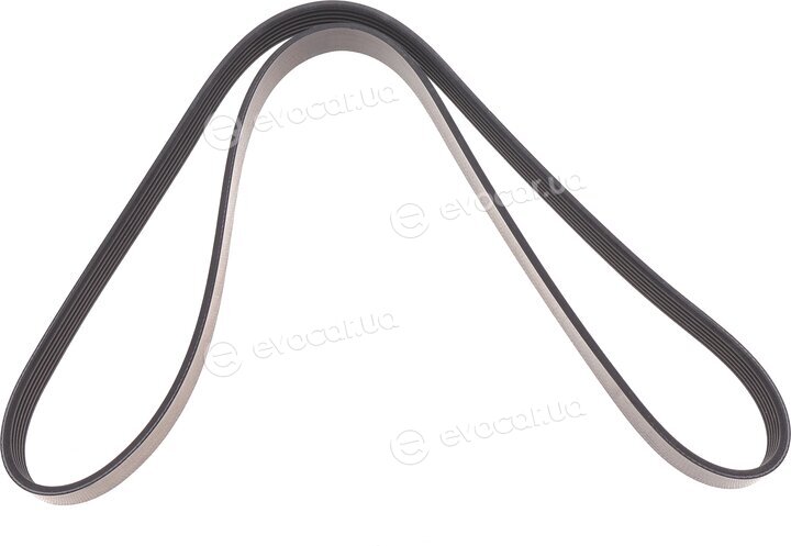 Dayco 6PK1300