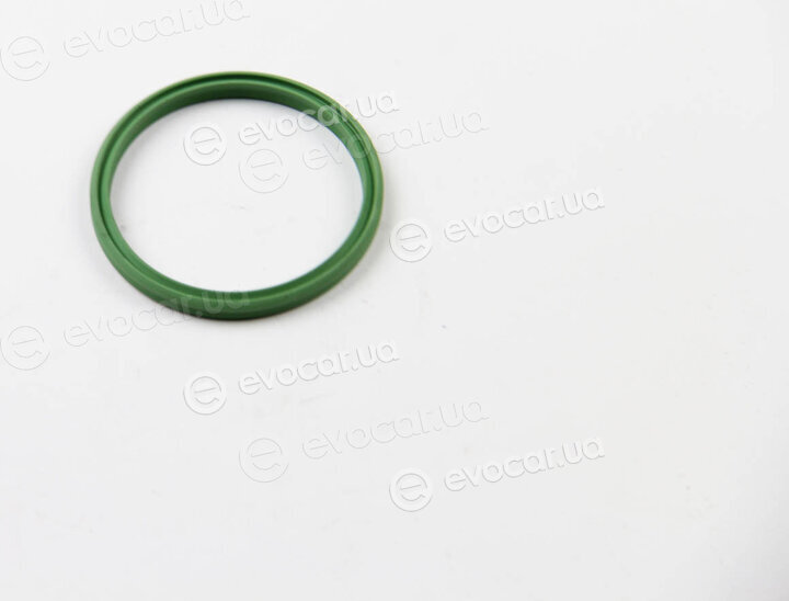 Rapro R25610