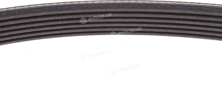Renault / Nissan 117202495R