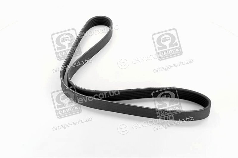 Dayco 6PK1080