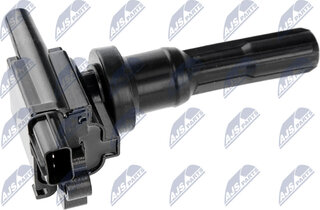 NTY ECZ-MS-012