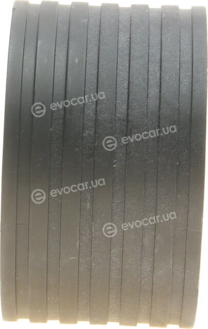 SKF VKMC 06021