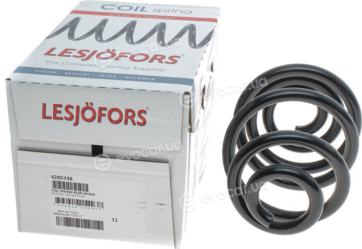 Lesjofors 4285748