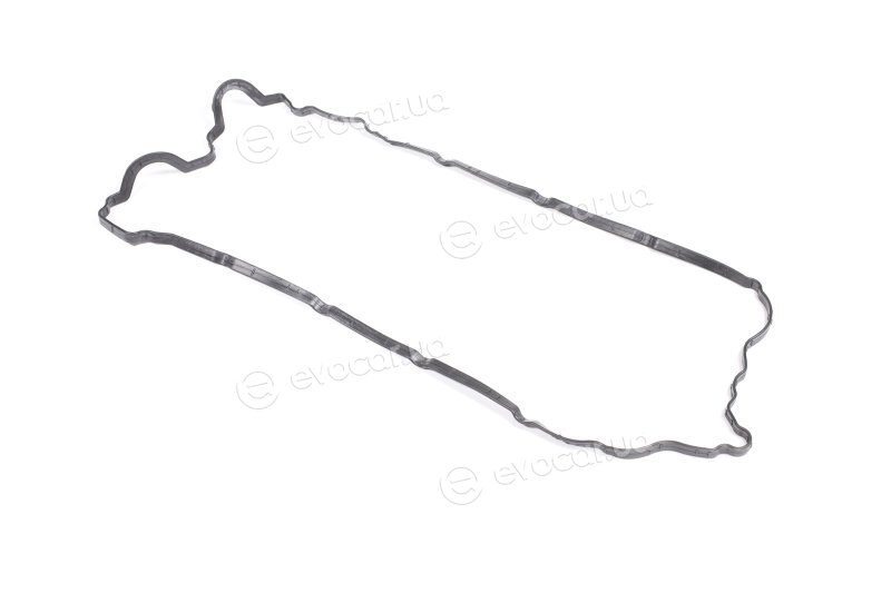 Elring 251.450