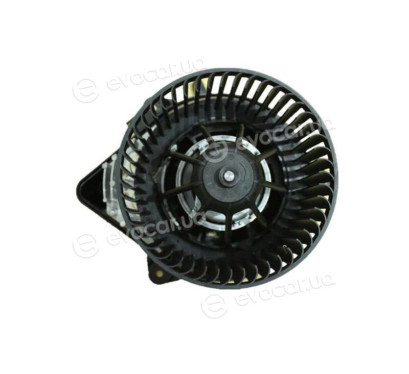 Walker / Fonos WBL01396