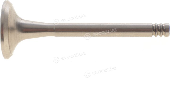AMP PAUD024-A-0-N