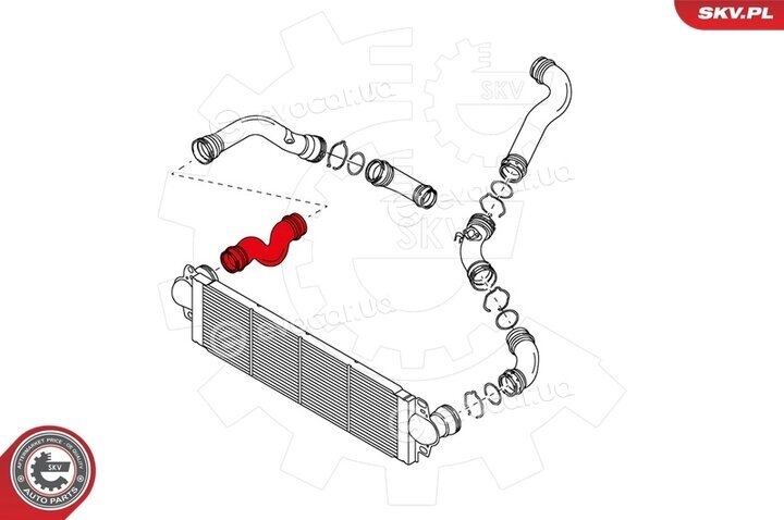 SKV 24SKV015