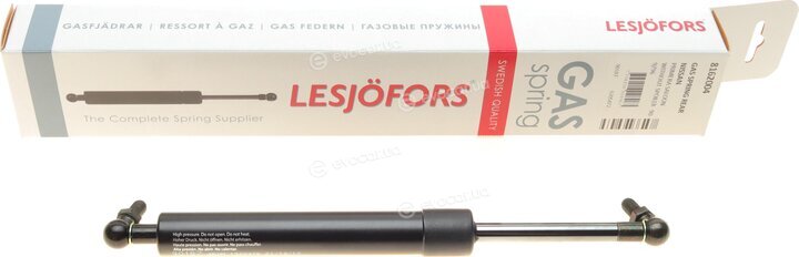 Lesjofors 8162004