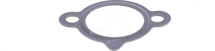Elring 310.920