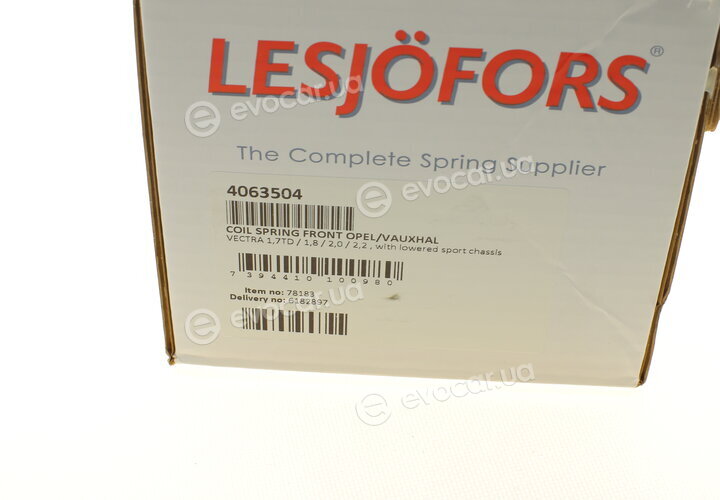 Lesjofors 4063504