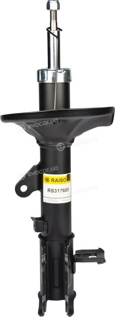 Raiso RS317605