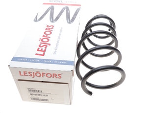 Lesjofors 4063478
